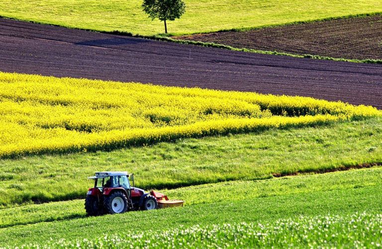 Bio Klimaschutz kologische Landwirtschaft Tierwohl Biologische 