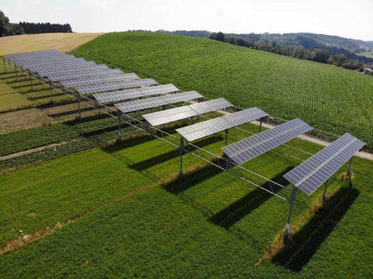 Landwirtschaft Fl chennutzung Agrarphotovoltaik Ertr ge 