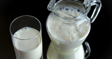 rohmilch