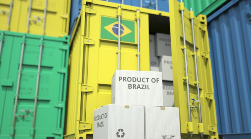 Container mit brasilianischer Flagge aus Brasilien in einem Hafen