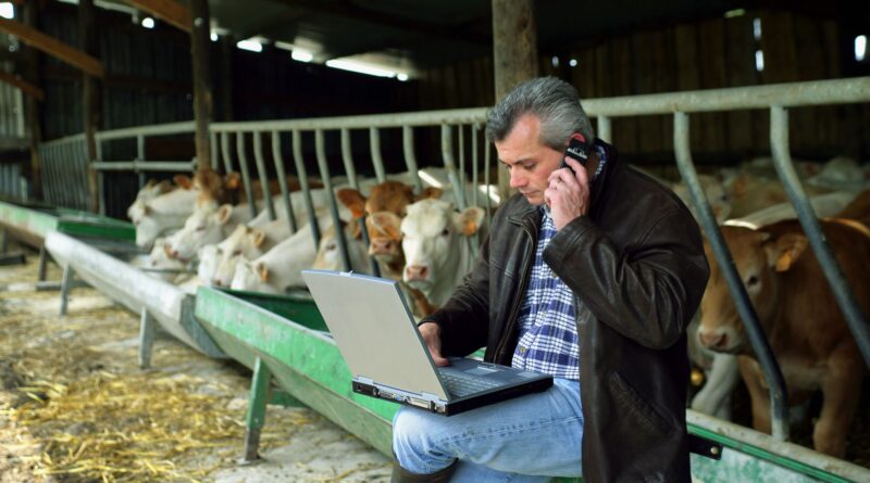 landwirt sitzt im Kuhstall mit einem laptop