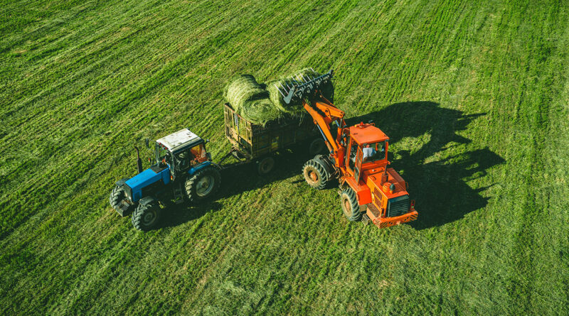 Extensiv genutztes Dauergrünland: Mecklenburg-Vorpommern verlängert Pflege-Zeitraum