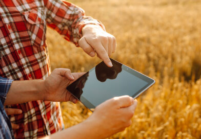 Mecklenburg-Vorpommern: Fristen für Agraranträge beachten