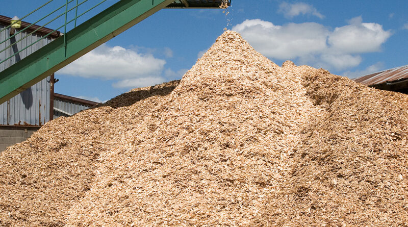 Nachhaltige Brandschutz-Alternative: Material aus Sägemehl ersetzt Spanplatten