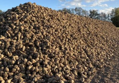 „Zuckersteuer“: 35 Verbände wehren sich gegen Pläne der Bundesregierung