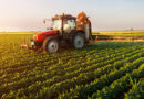 Landwirtschaftliche Nutzung: Größe der gesamten Agrarfläche weiterhin stabil