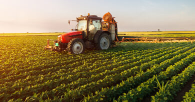 Landwirtschaftliche Nutzung: Größe der gesamten Agrarfläche weiterhin stabil
