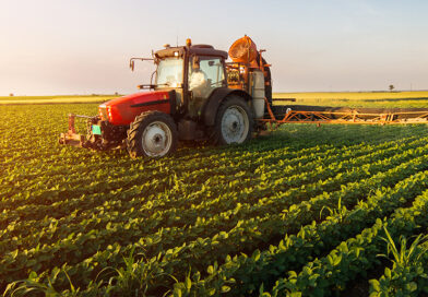 Landwirtschaftliche Nutzung: Größe der gesamten Agrarfläche weiterhin stabil