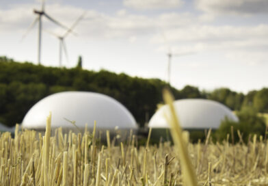 EEG 2027: Landwirtschaftliche Betriebe teilweise benachteiligt