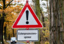 Eichenprozessionsspinner: Deshalb breitet er sich stärker aus