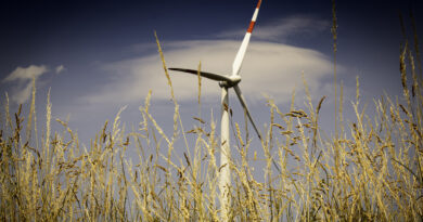 Erneuerbare Energien: Mehr Investitionen mithilfe der Landwirtschaftlichen Rentenbank