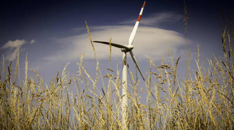 Erneuerbare Energien: Mehr Investitionen mithilfe der Landwirtschaftlichen Rentenbank