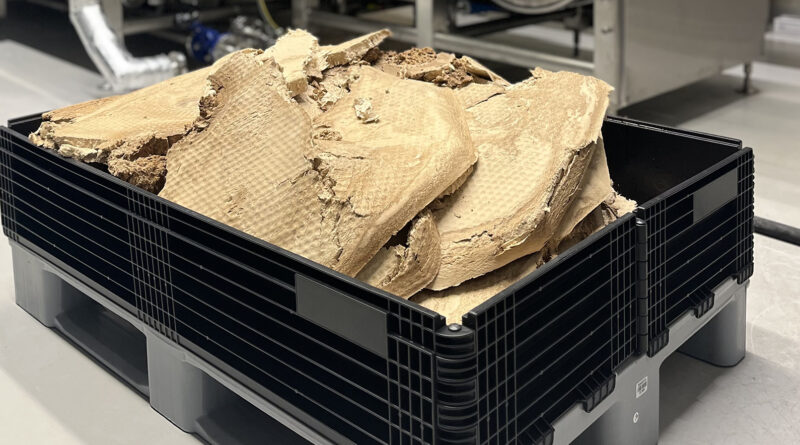 Schweinefutter: Forscher ersetzen Soja durch Forst-Reststoffe