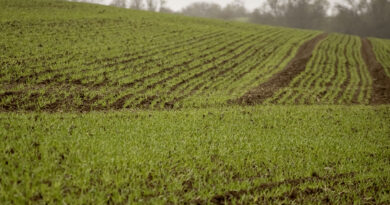 Dünger und Energie: EU stellt deutschen Landwirten 60 Millionen Euro zur Verfügung