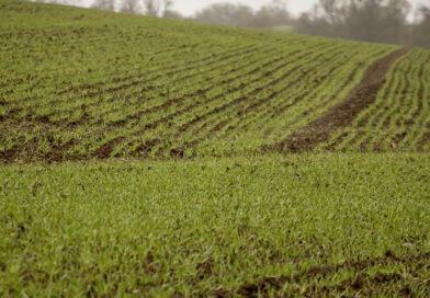 Dünger und Energie: EU stellt deutschen Landwirten 60 Millionen Euro zur Verfügung