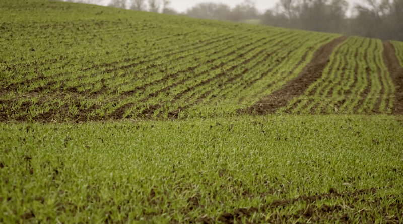 Dünger und Energie: EU stellt deutschen Landwirten 60 Millionen Euro zur Verfügung